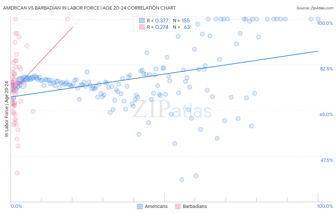 American vs Barbadian In Labor Force | Age 20-24