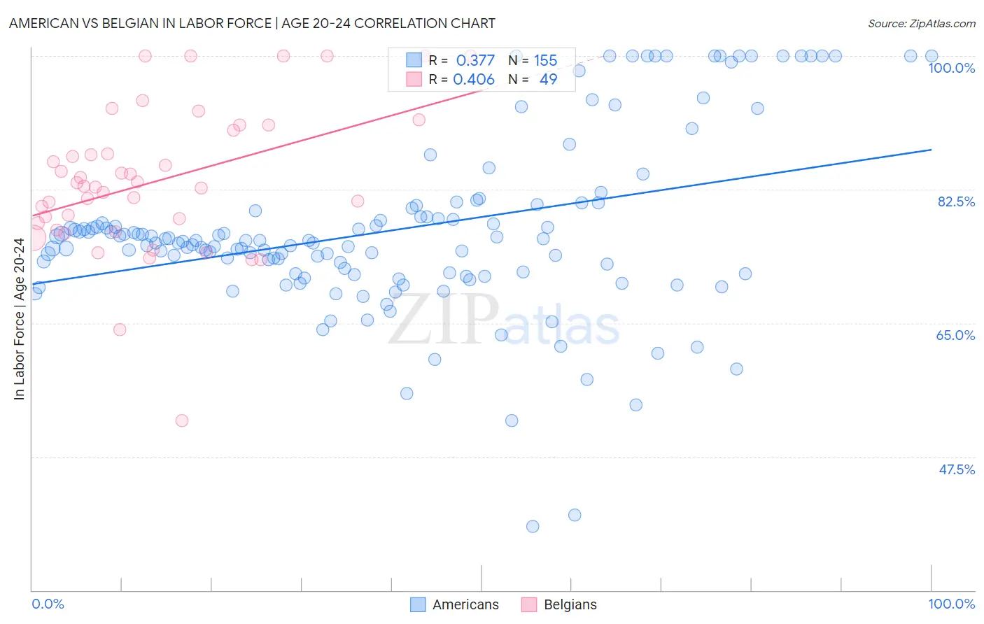 American vs Belgian In Labor Force | Age 20-24