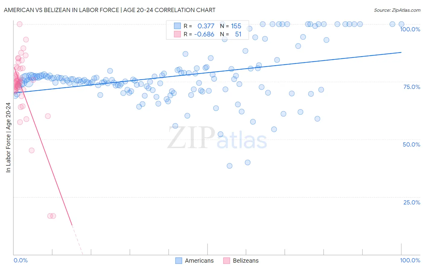 American vs Belizean In Labor Force | Age 20-24