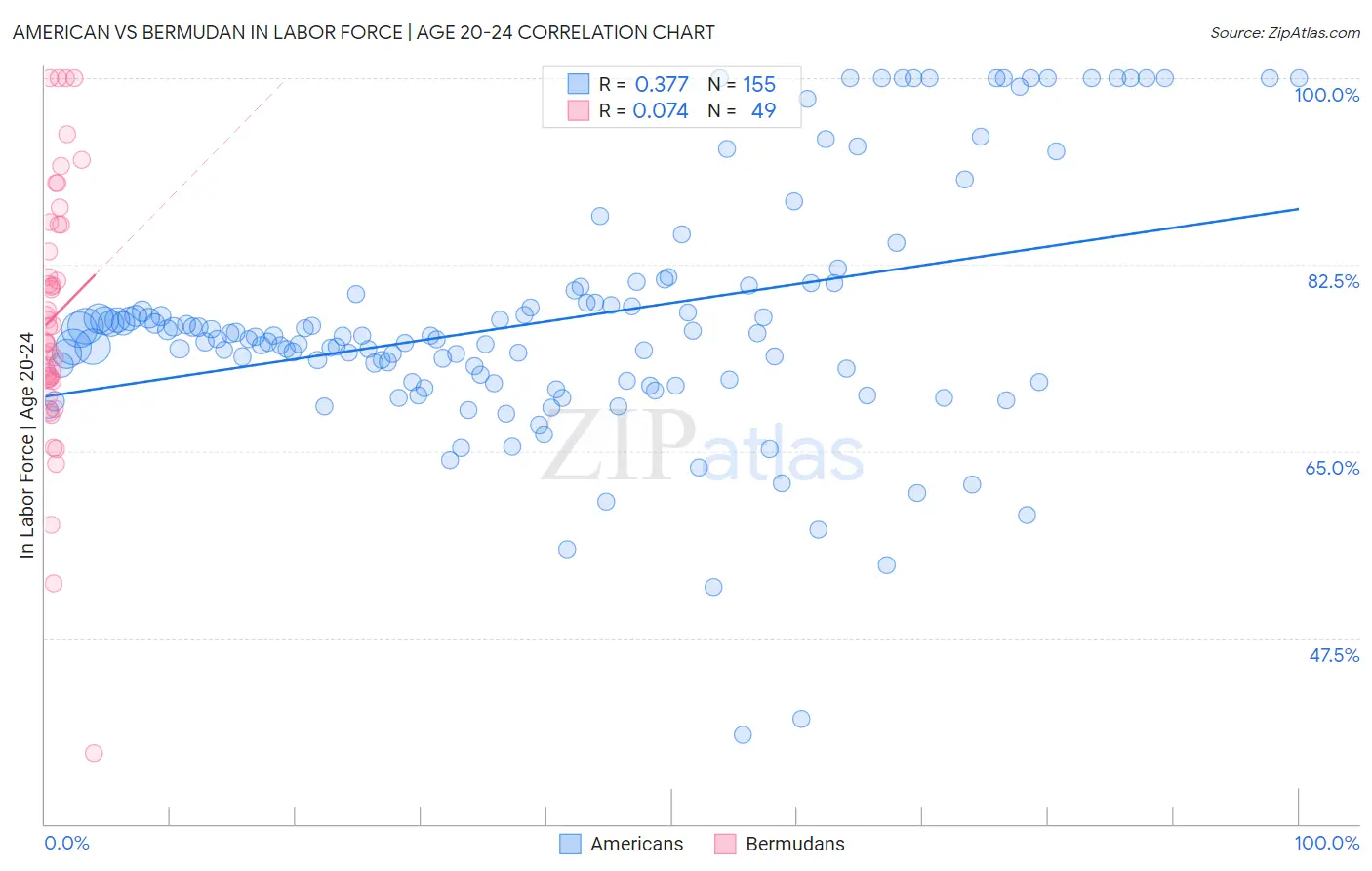 American vs Bermudan In Labor Force | Age 20-24