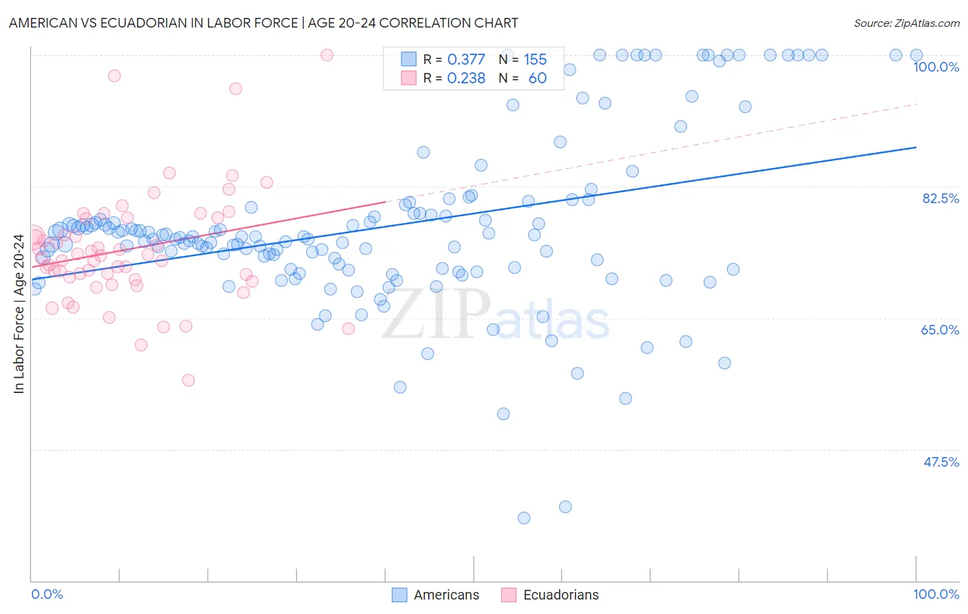American vs Ecuadorian In Labor Force | Age 20-24