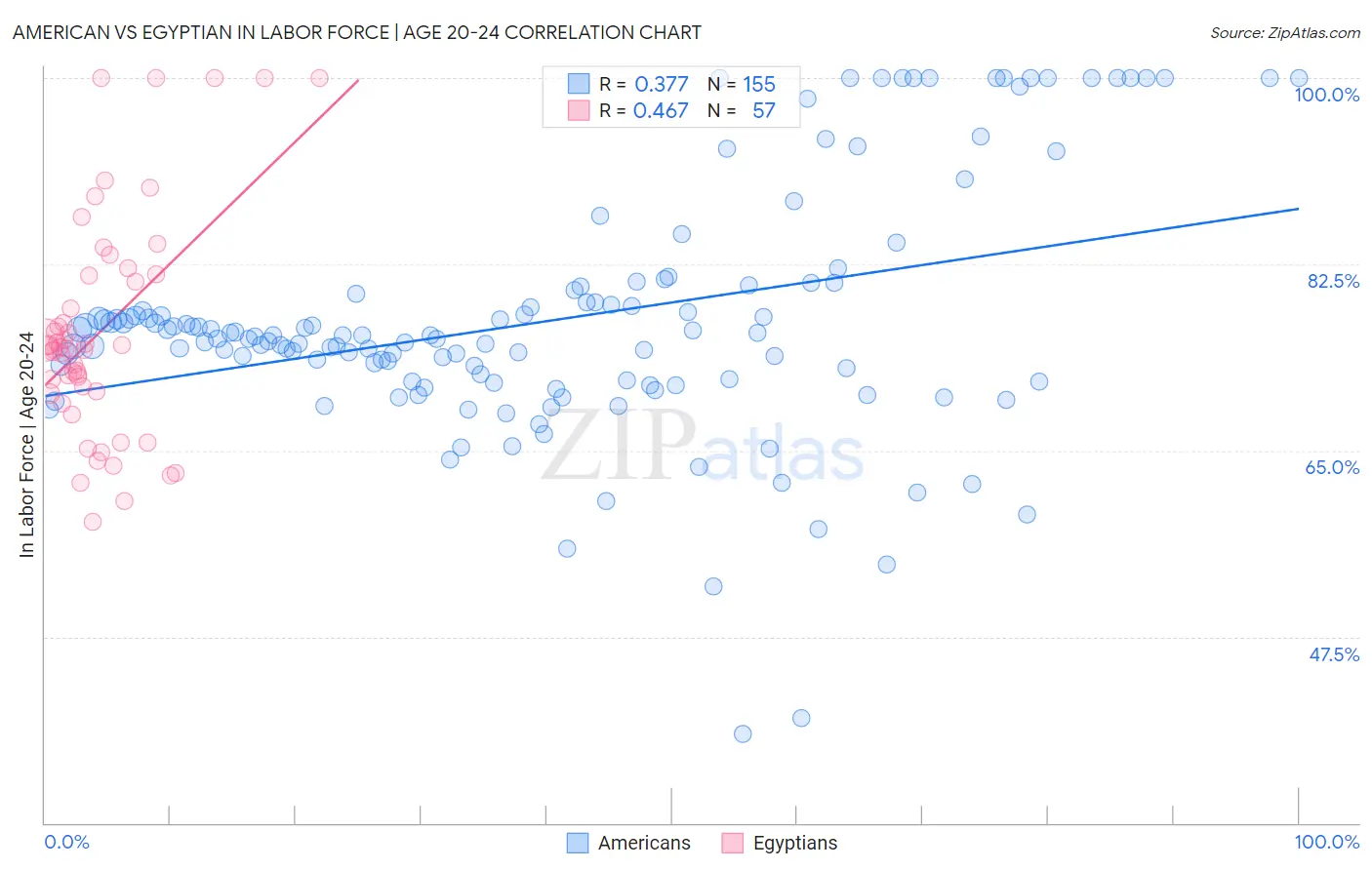 American vs Egyptian In Labor Force | Age 20-24