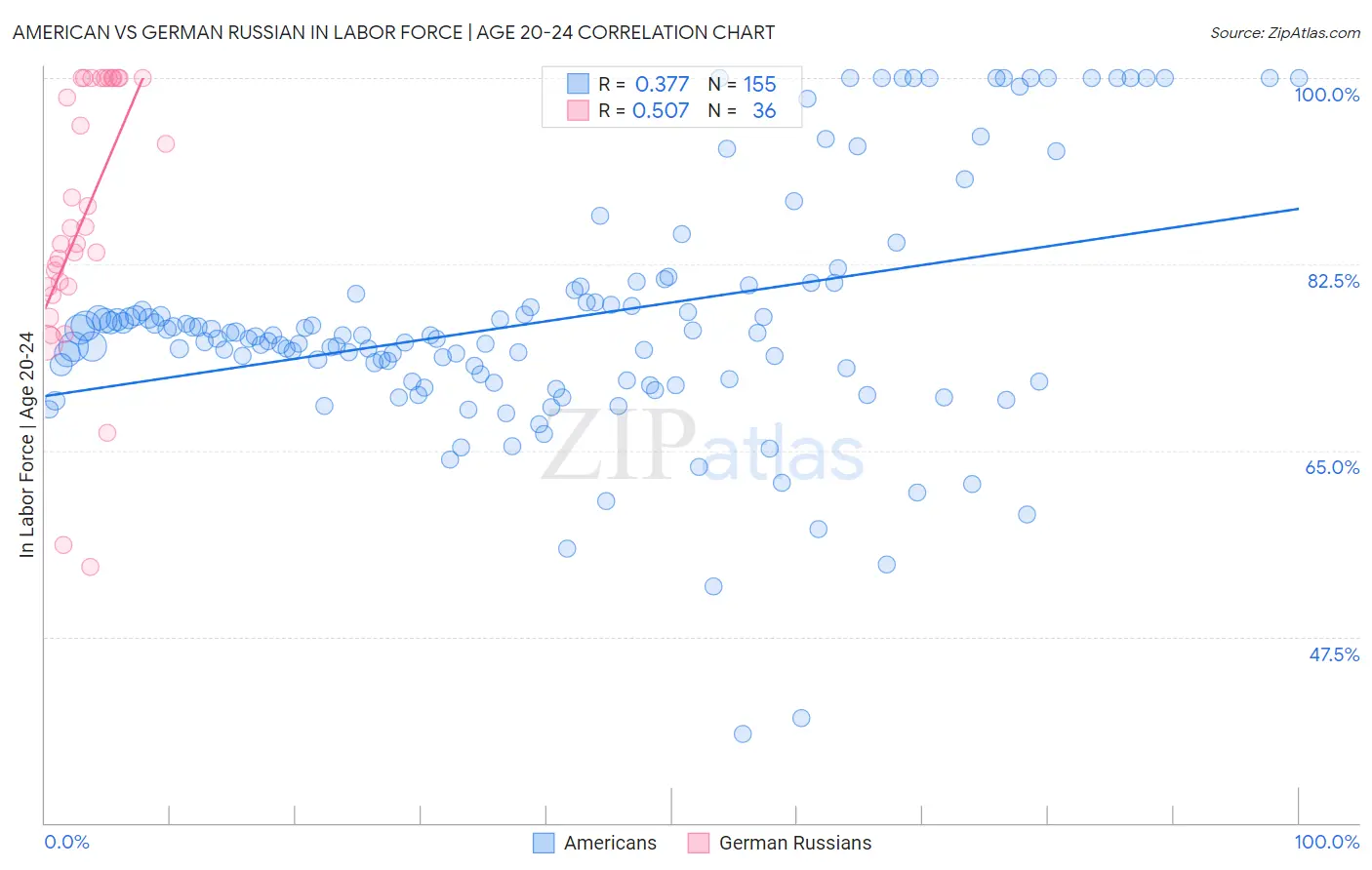 American vs German Russian In Labor Force | Age 20-24