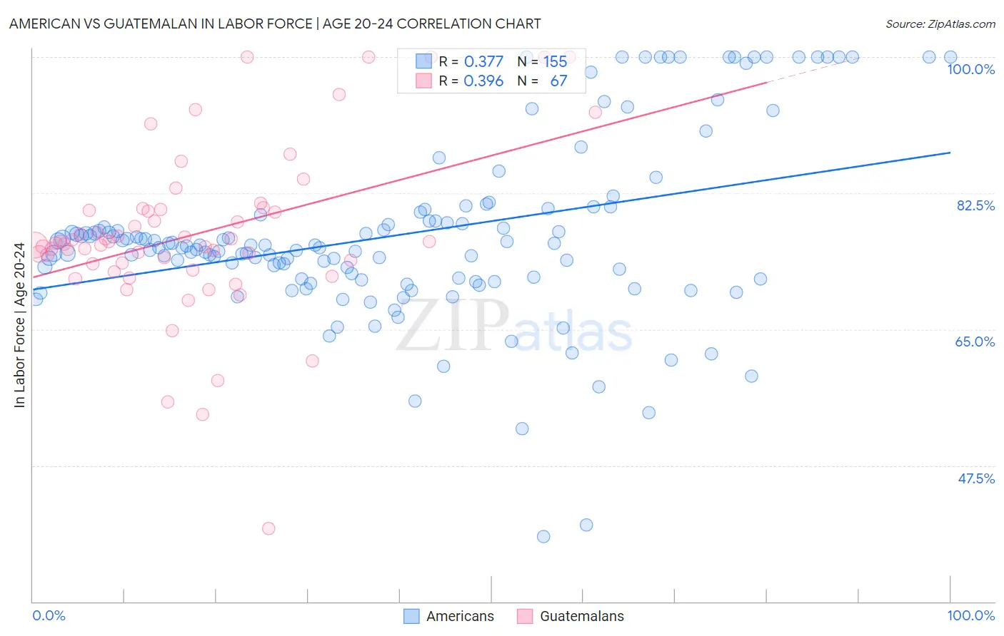 American vs Guatemalan In Labor Force | Age 20-24