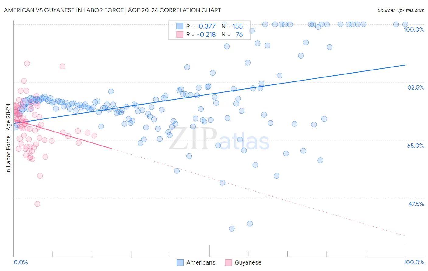 American vs Guyanese In Labor Force | Age 20-24