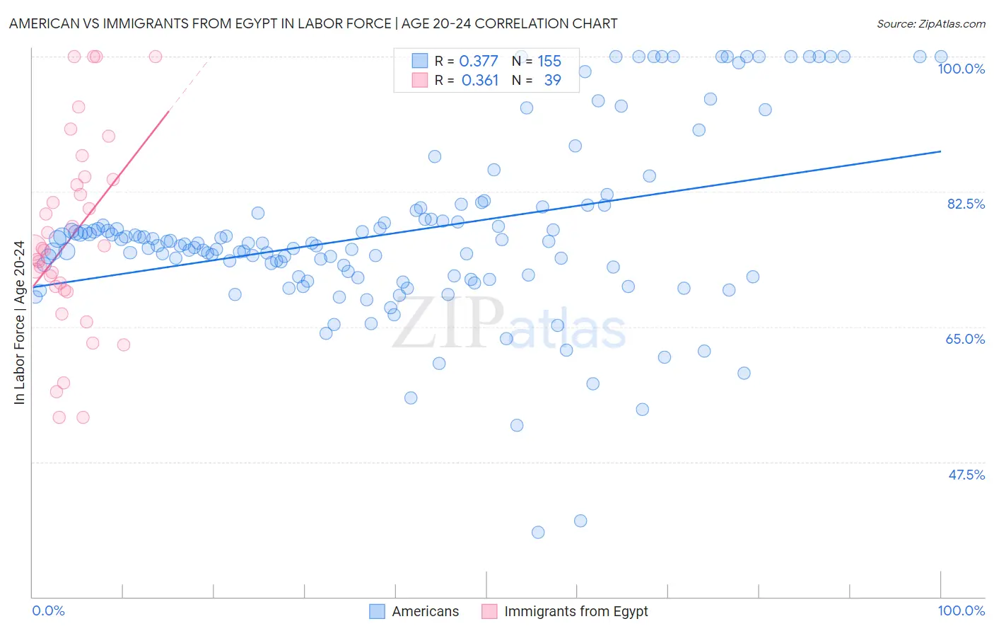American vs Immigrants from Egypt In Labor Force | Age 20-24