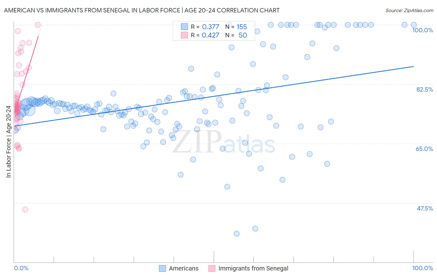 American vs Immigrants from Senegal In Labor Force | Age 20-24