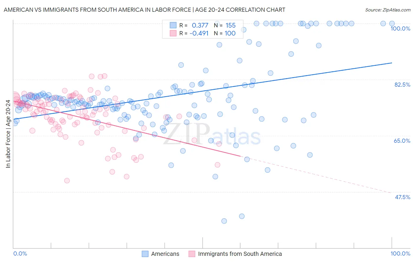 American vs Immigrants from South America In Labor Force | Age 20-24