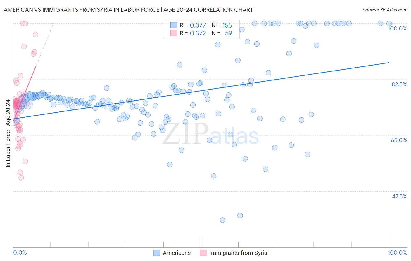 American vs Immigrants from Syria In Labor Force | Age 20-24