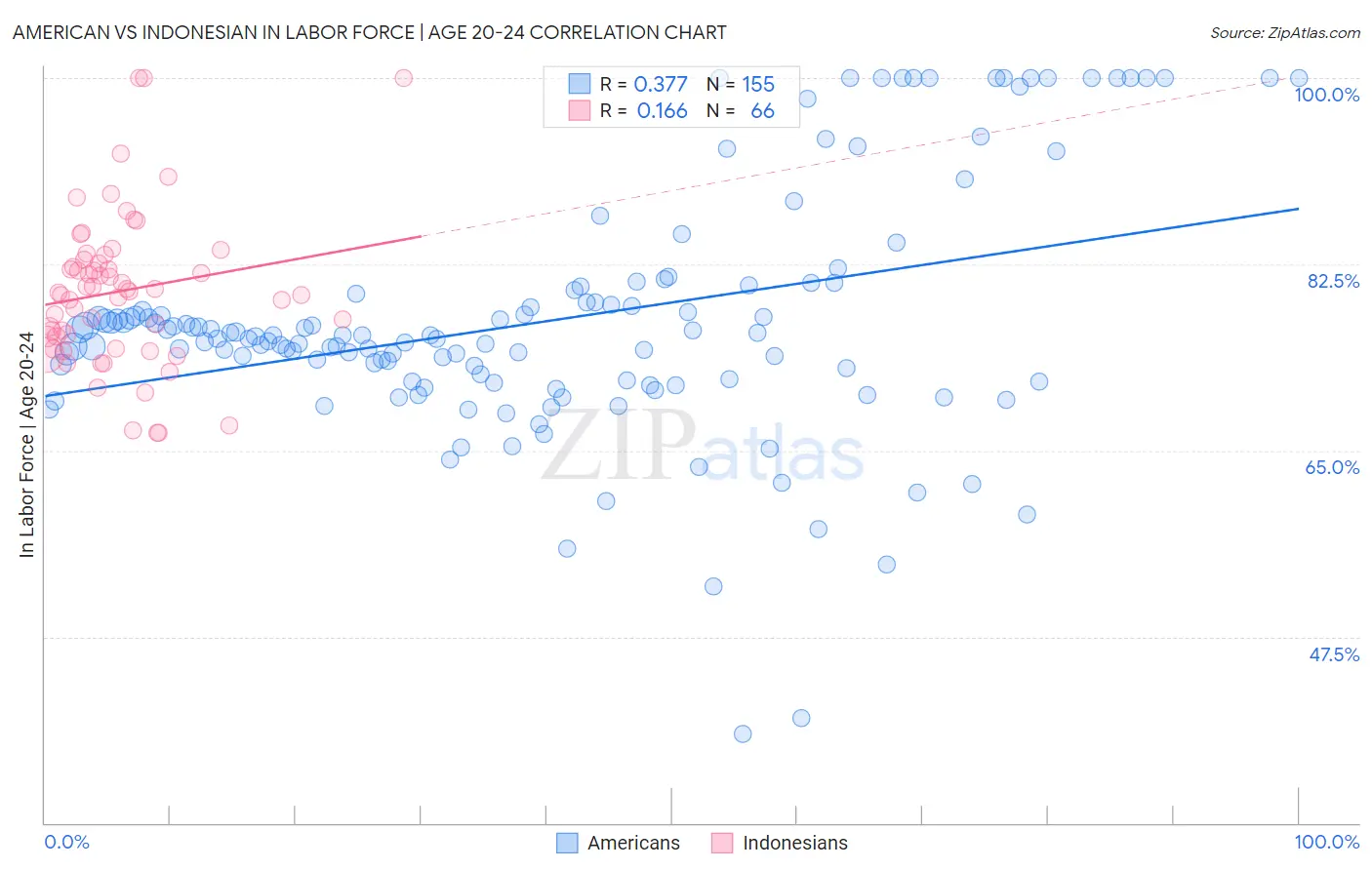 American vs Indonesian In Labor Force | Age 20-24