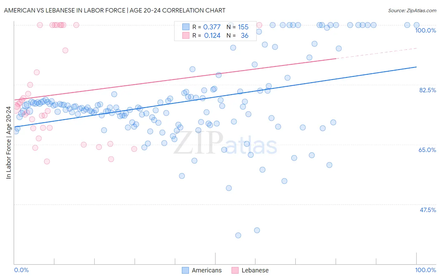 American vs Lebanese In Labor Force | Age 20-24