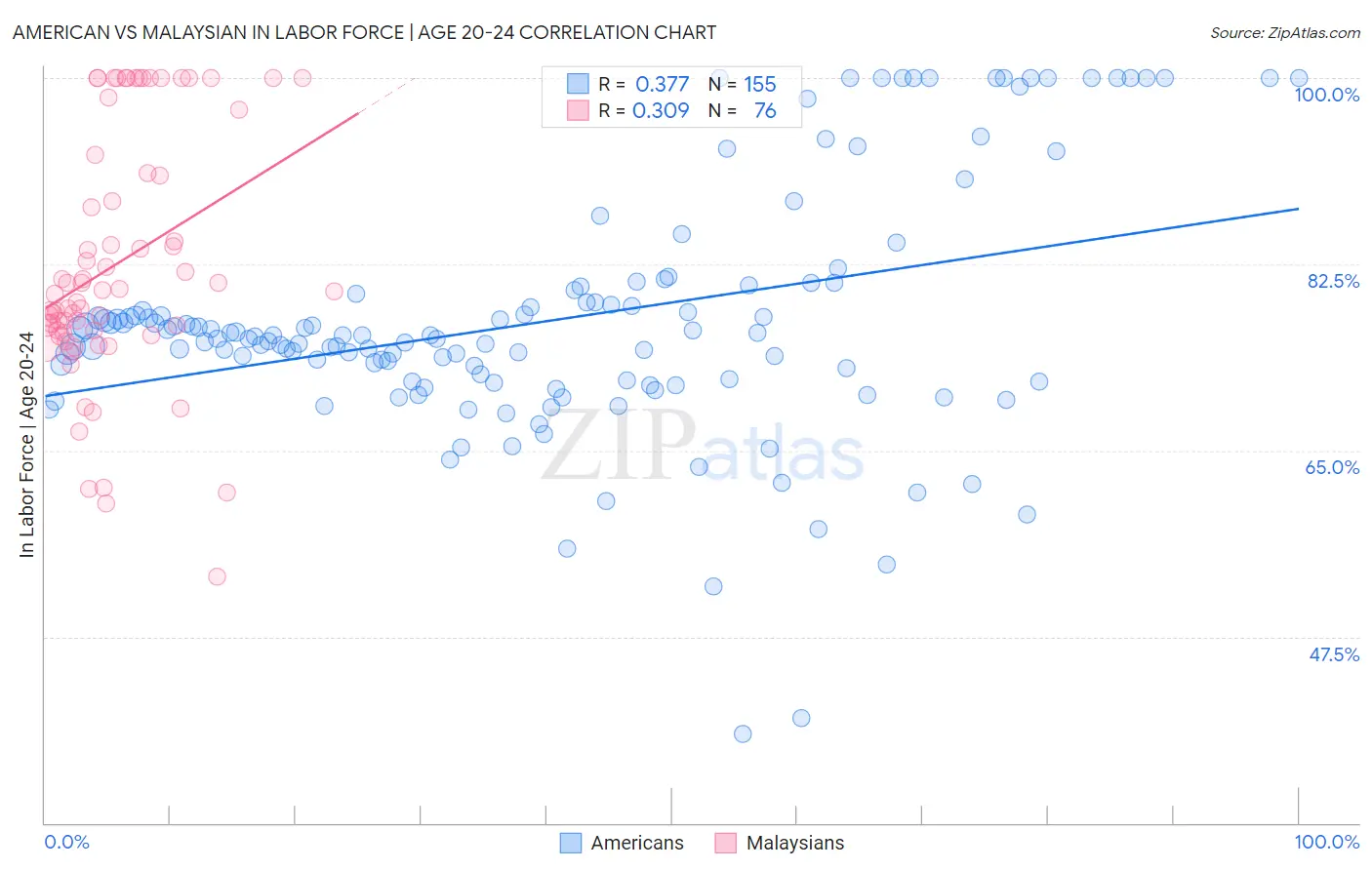 American vs Malaysian In Labor Force | Age 20-24