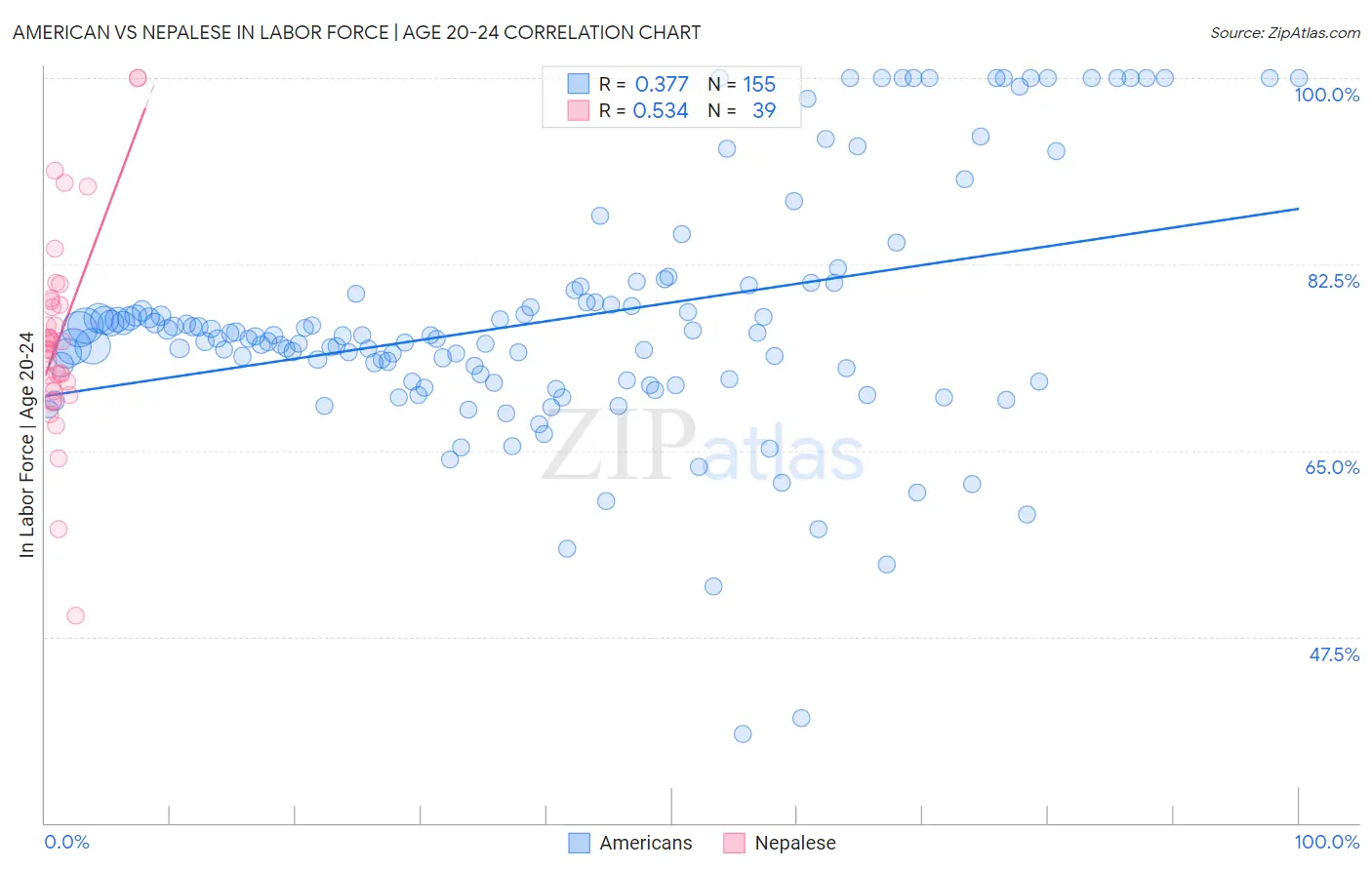 American vs Nepalese In Labor Force | Age 20-24