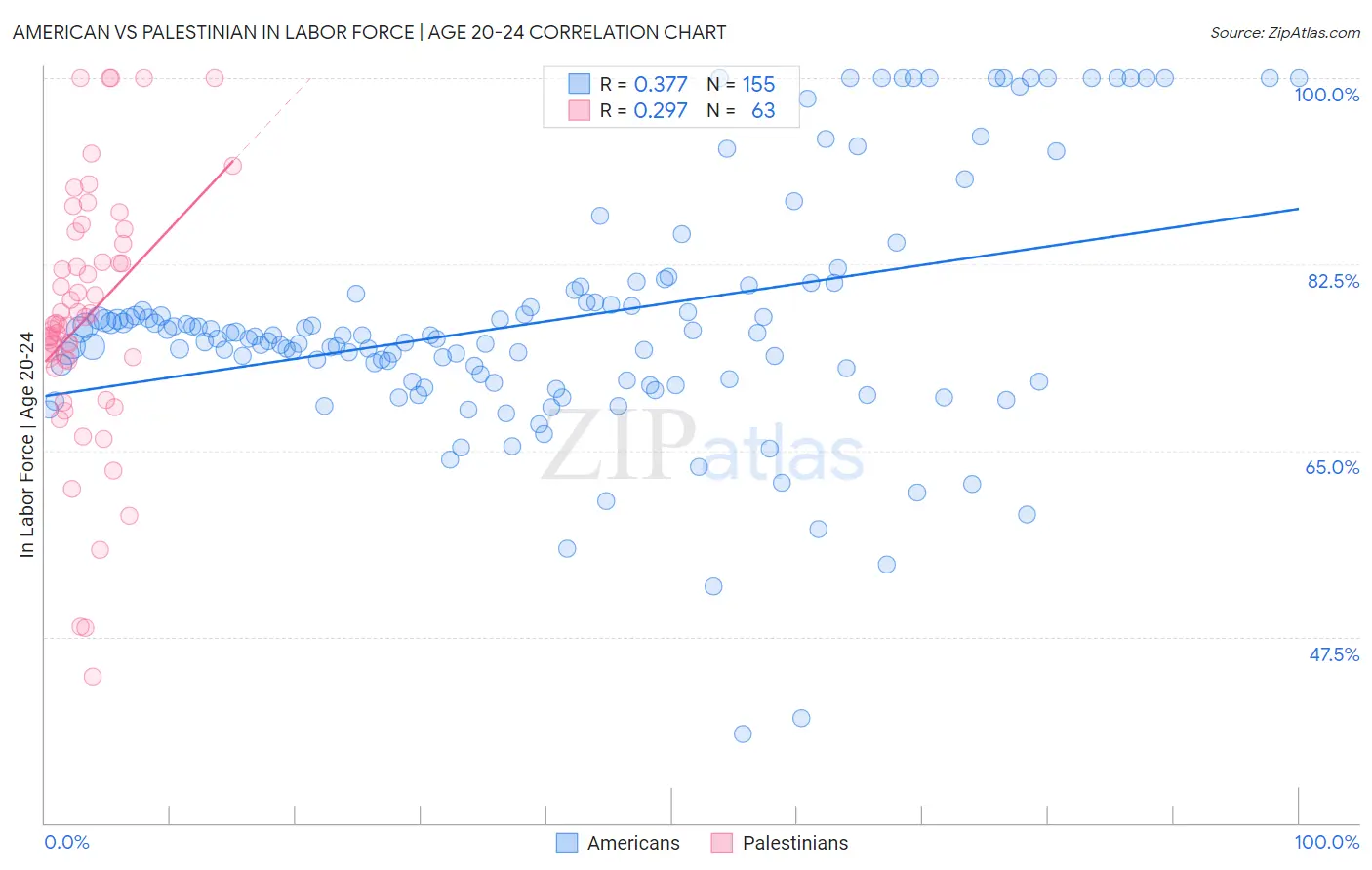 American vs Palestinian In Labor Force | Age 20-24