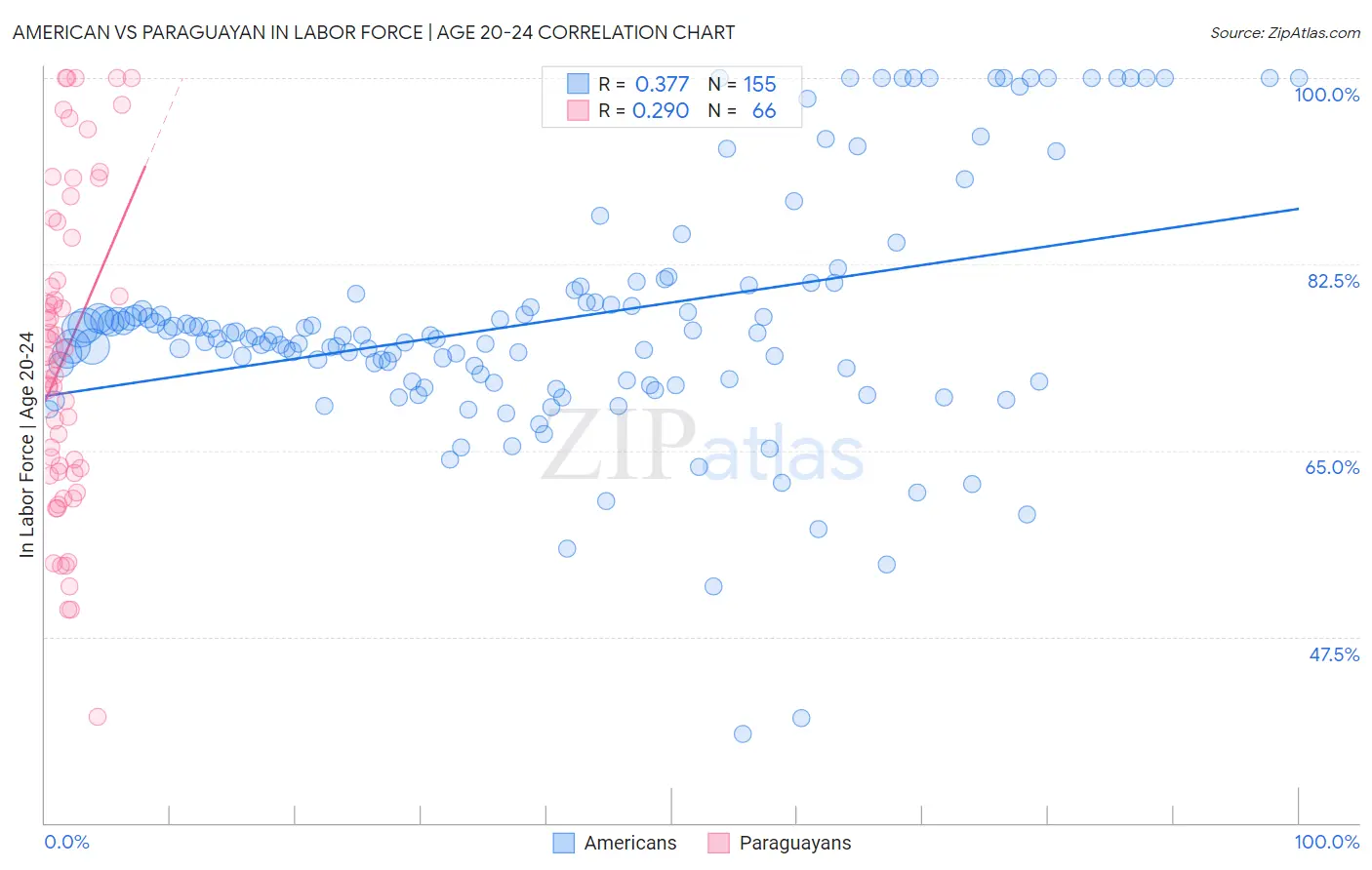 American vs Paraguayan In Labor Force | Age 20-24