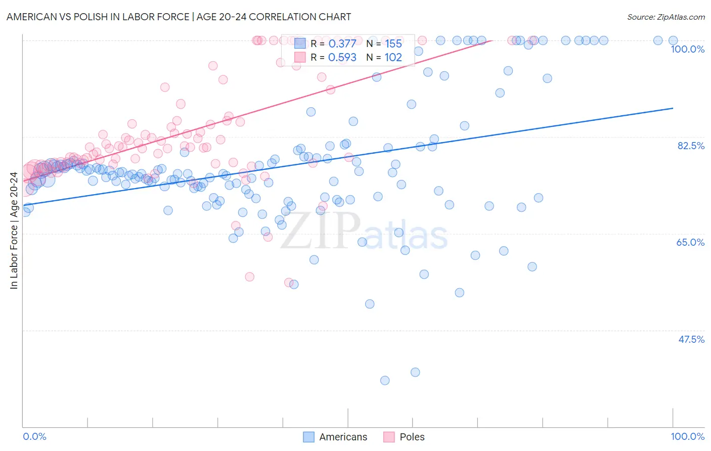 American vs Polish In Labor Force | Age 20-24