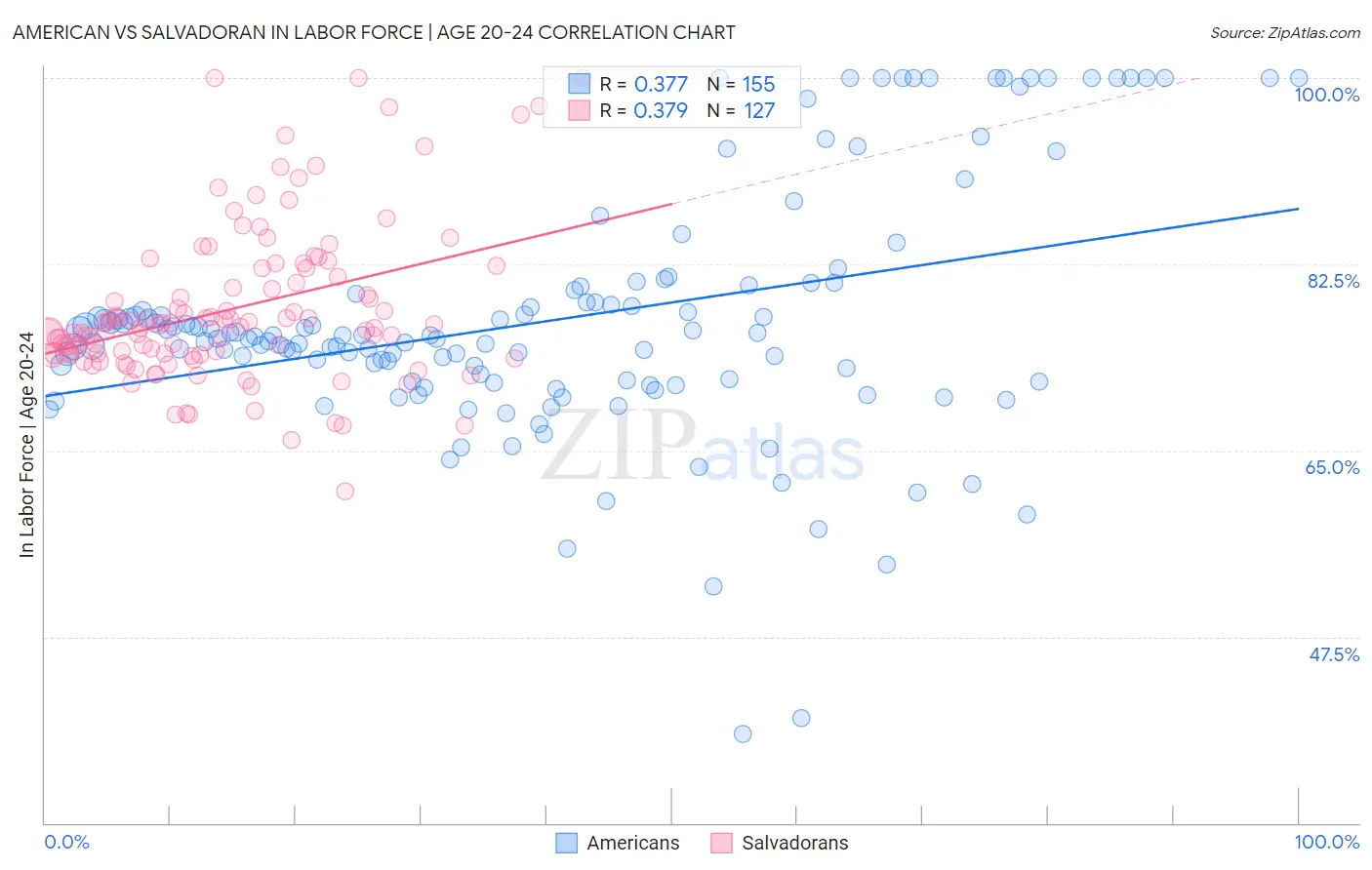 American vs Salvadoran In Labor Force | Age 20-24