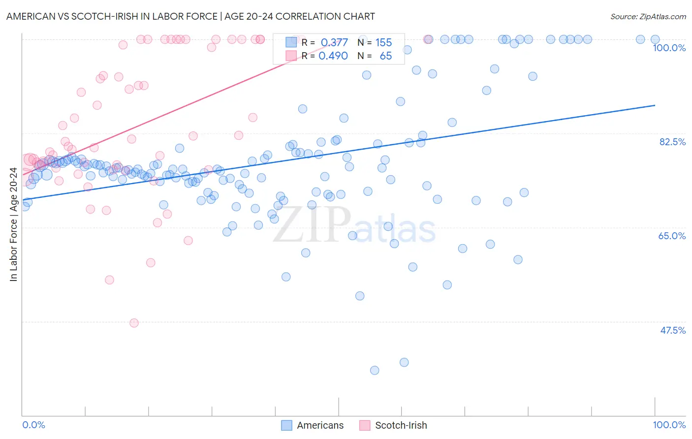 American vs Scotch-Irish In Labor Force | Age 20-24