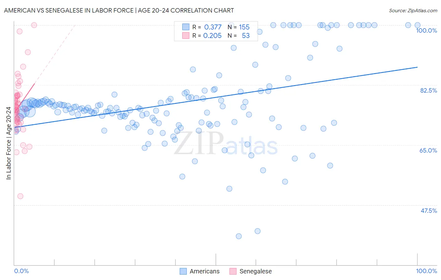 American vs Senegalese In Labor Force | Age 20-24