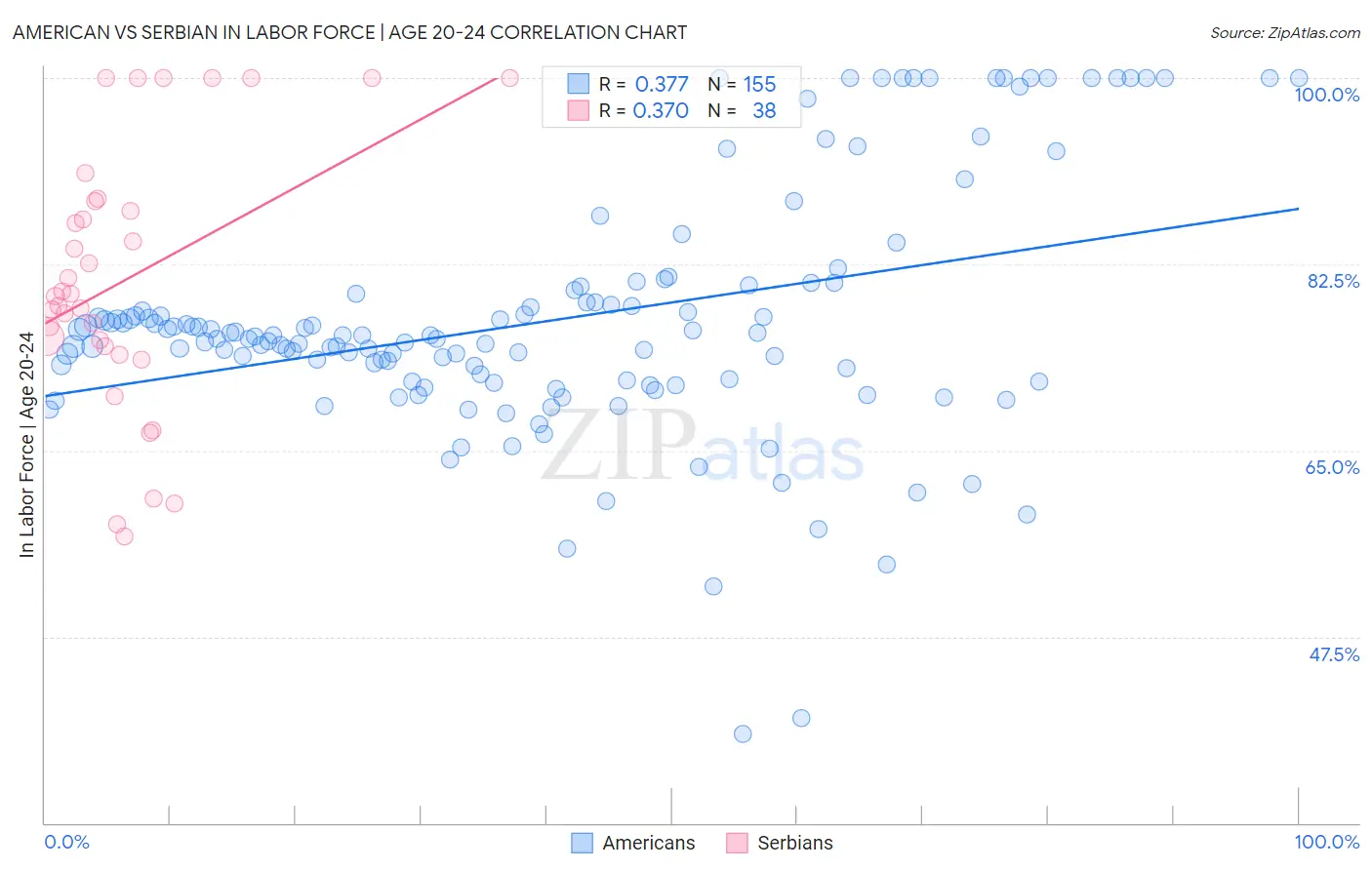 American vs Serbian In Labor Force | Age 20-24