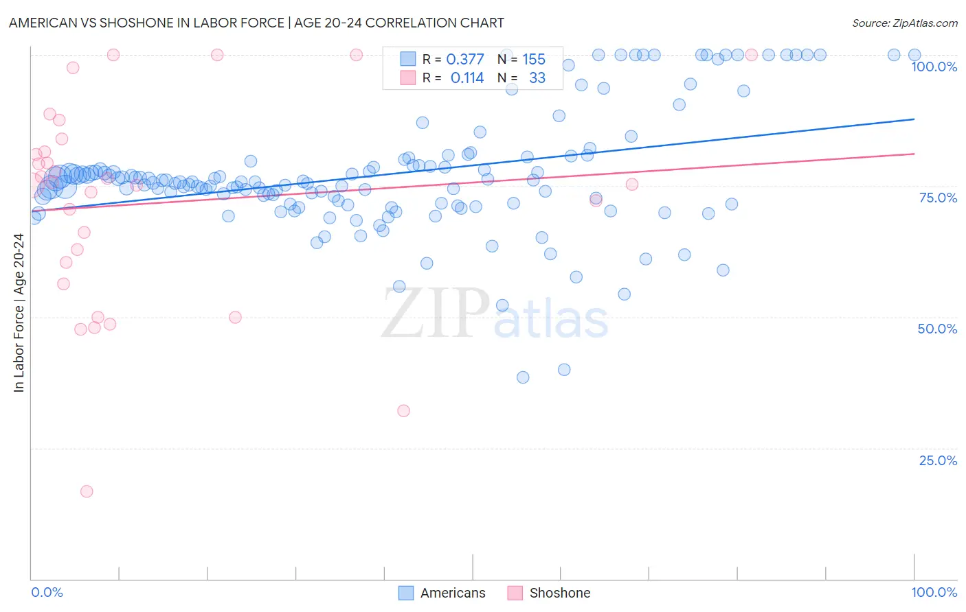 American vs Shoshone In Labor Force | Age 20-24