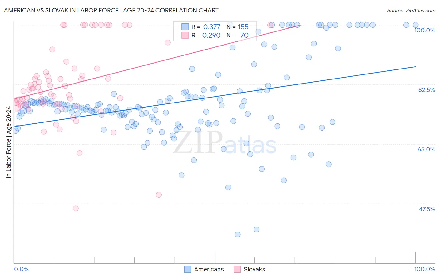 American vs Slovak In Labor Force | Age 20-24