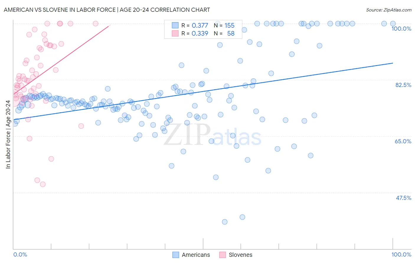 American vs Slovene In Labor Force | Age 20-24