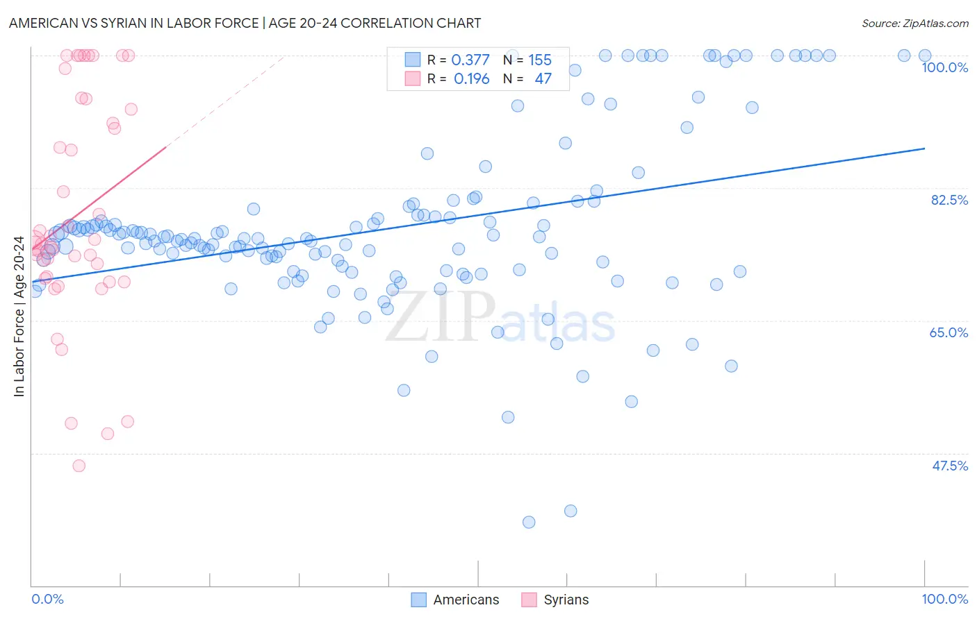 American vs Syrian In Labor Force | Age 20-24