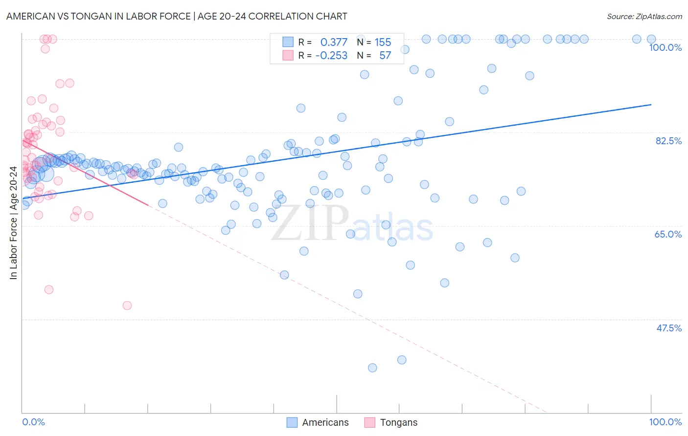American vs Tongan In Labor Force | Age 20-24