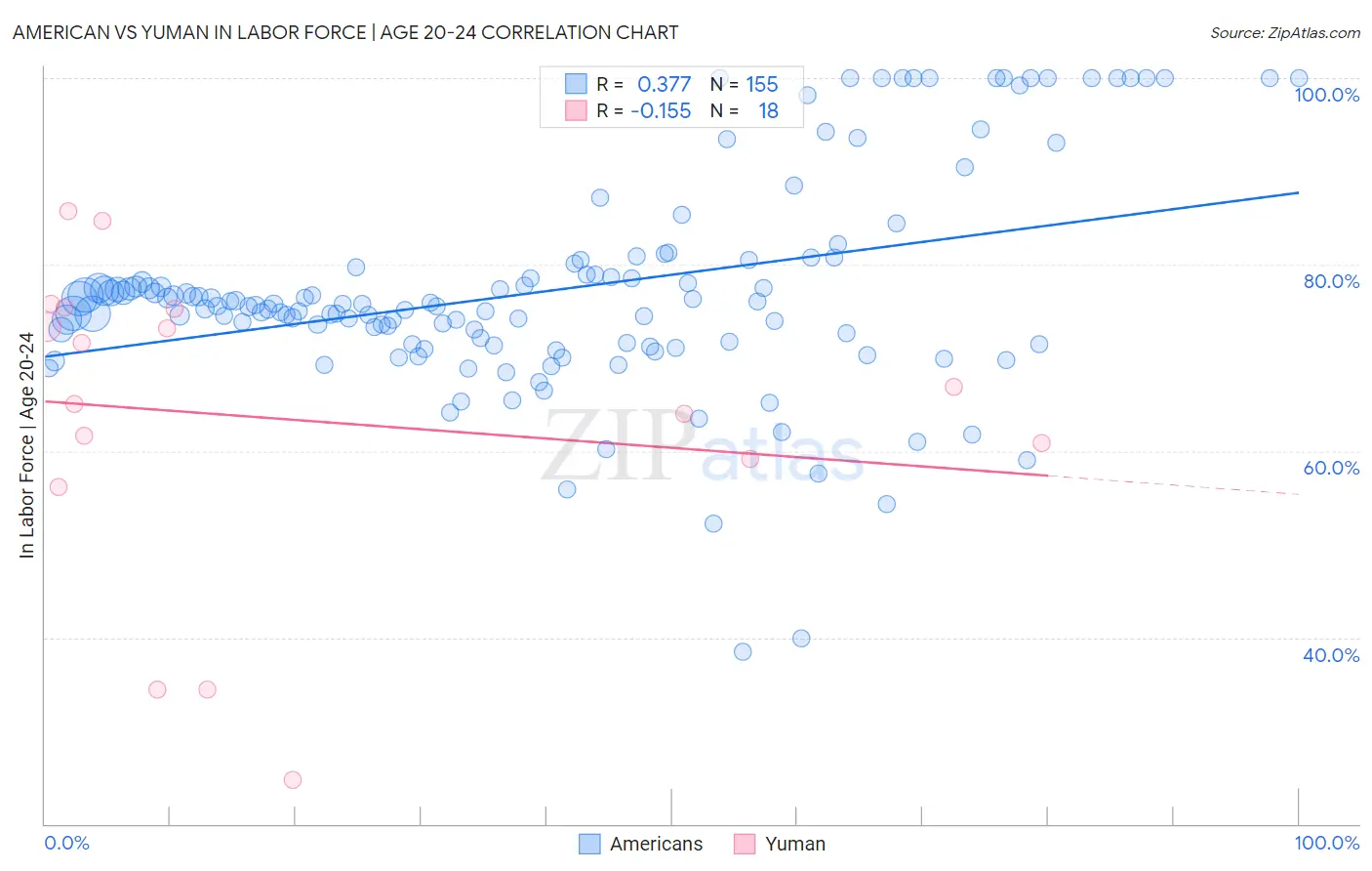 American vs Yuman In Labor Force | Age 20-24