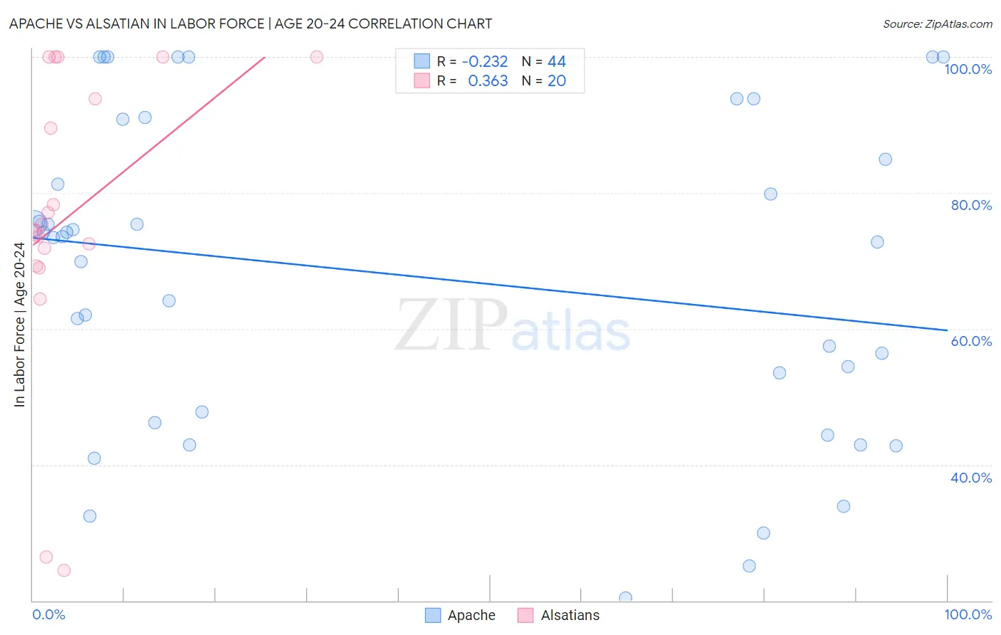 Apache vs Alsatian In Labor Force | Age 20-24