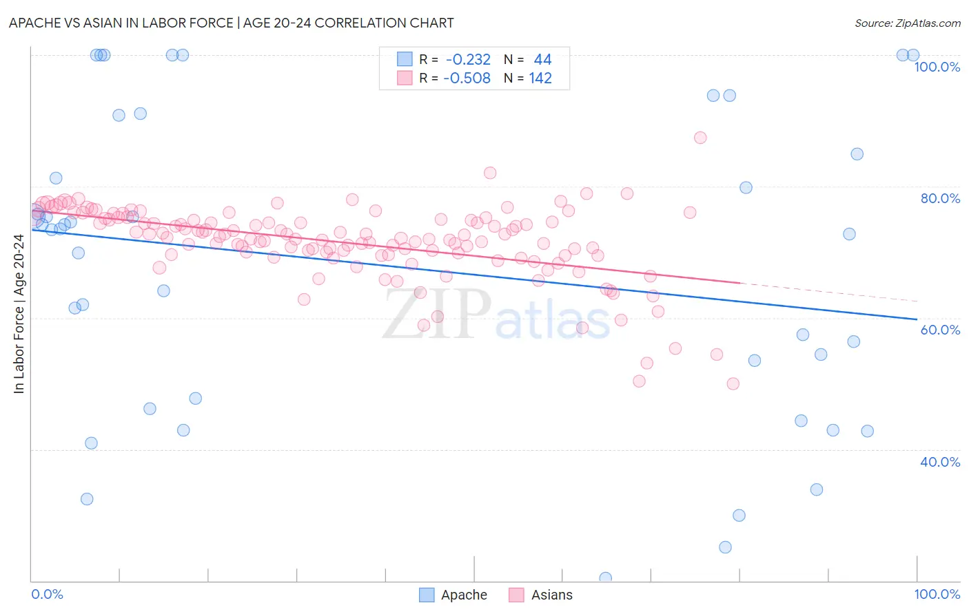 Apache vs Asian In Labor Force | Age 20-24