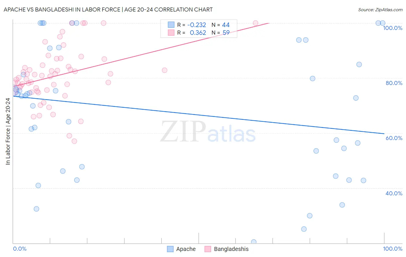 Apache vs Bangladeshi In Labor Force | Age 20-24