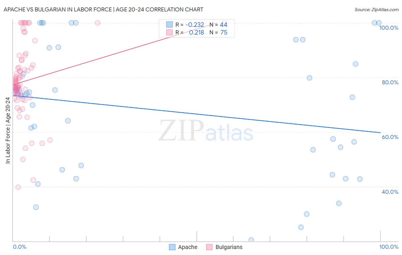 Apache vs Bulgarian In Labor Force | Age 20-24