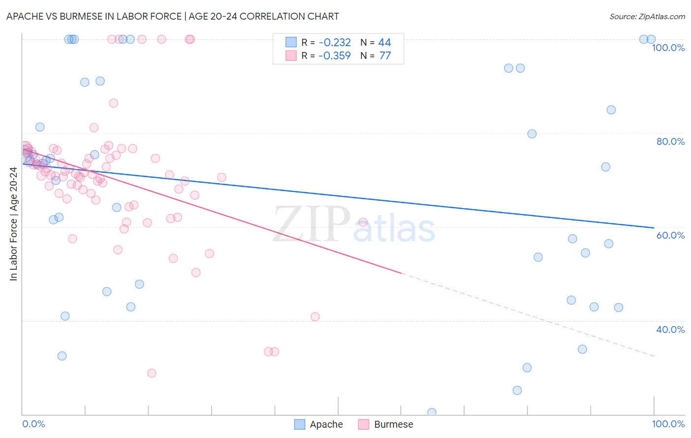 Apache vs Burmese In Labor Force | Age 20-24