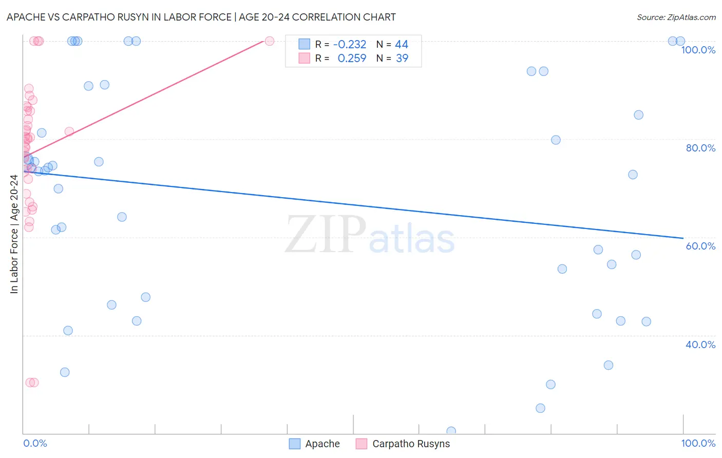 Apache vs Carpatho Rusyn In Labor Force | Age 20-24