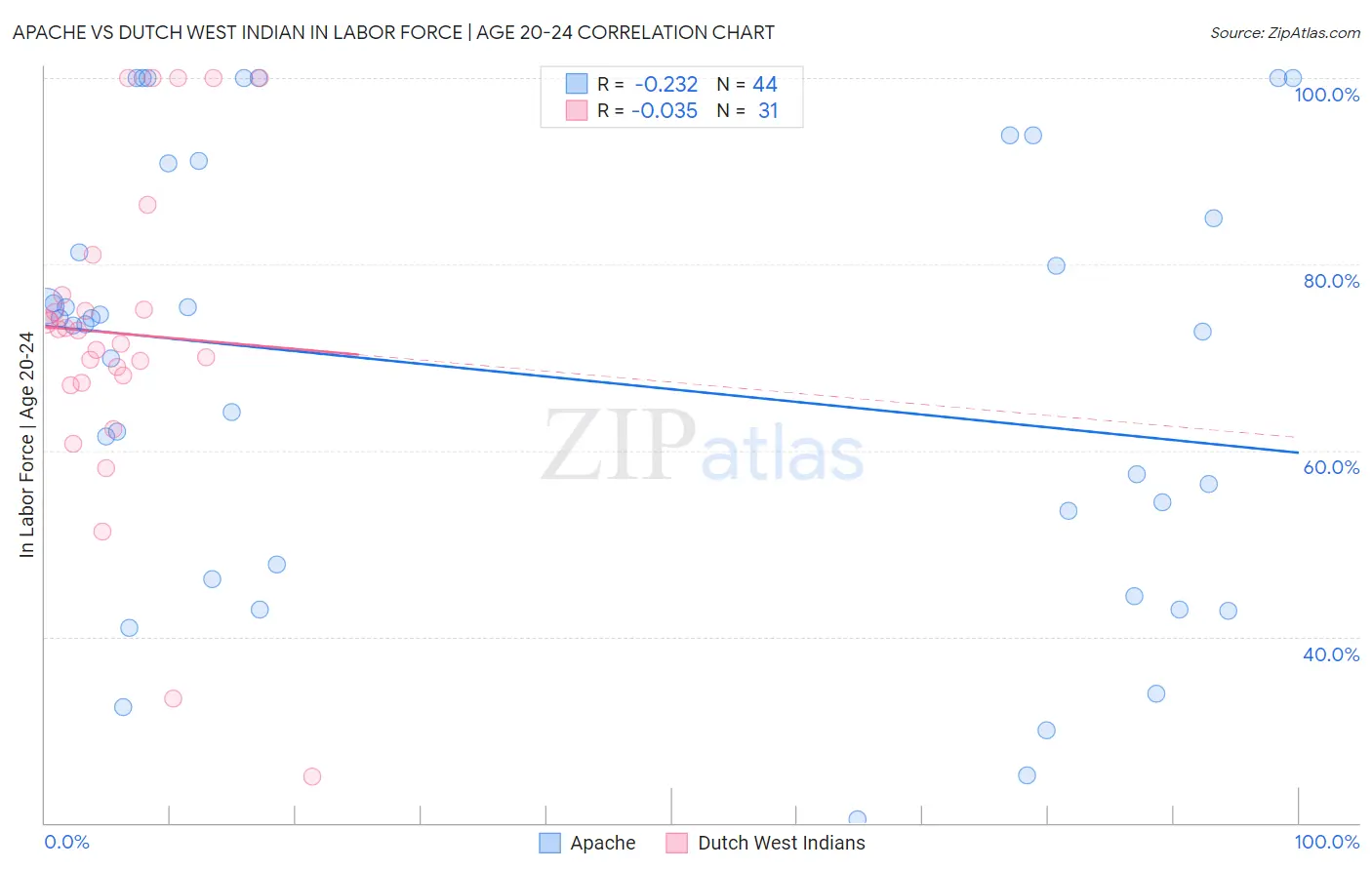 Apache vs Dutch West Indian In Labor Force | Age 20-24