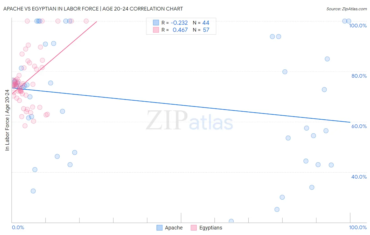 Apache vs Egyptian In Labor Force | Age 20-24
