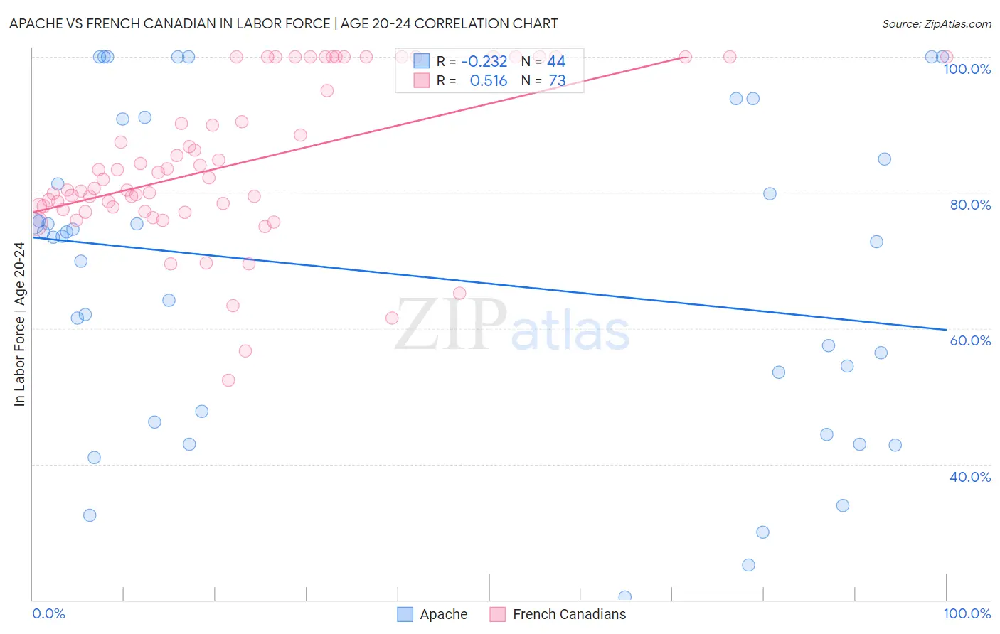 Apache vs French Canadian In Labor Force | Age 20-24