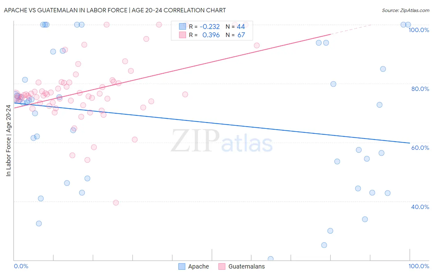 Apache vs Guatemalan In Labor Force | Age 20-24