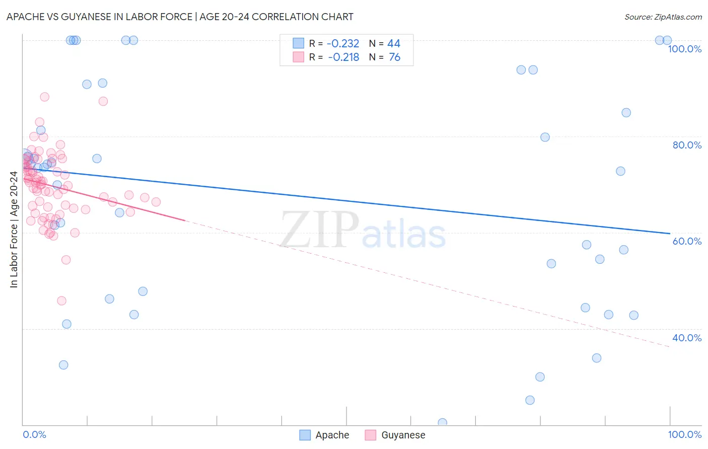 Apache vs Guyanese In Labor Force | Age 20-24