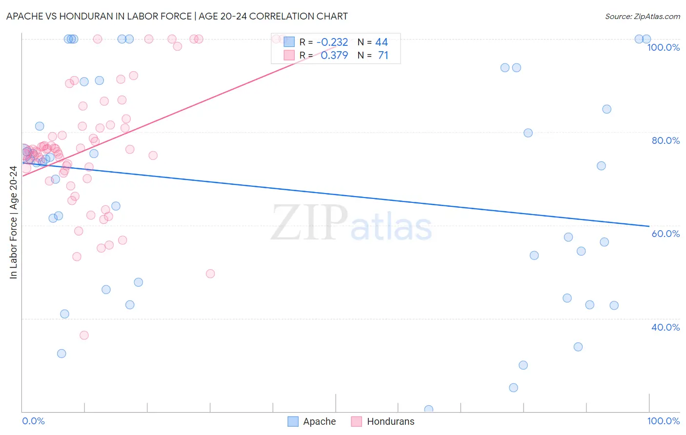Apache vs Honduran In Labor Force | Age 20-24
