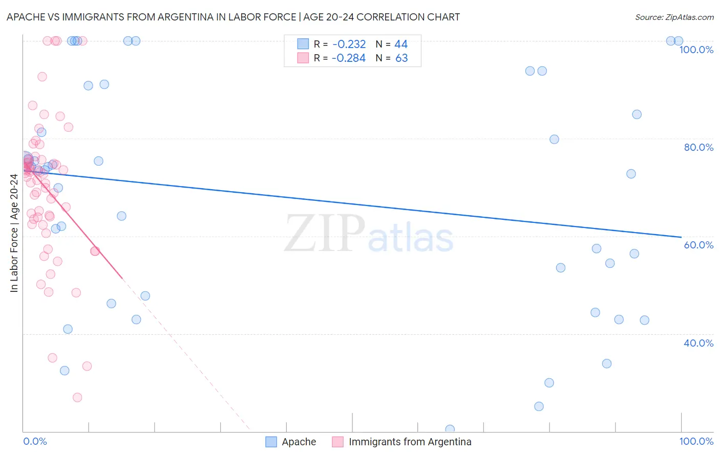Apache vs Immigrants from Argentina In Labor Force | Age 20-24