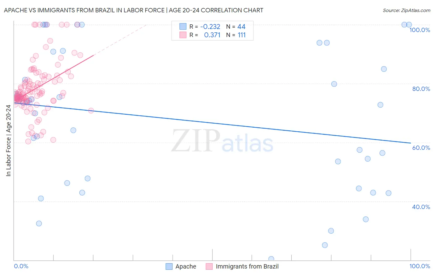 Apache vs Immigrants from Brazil In Labor Force | Age 20-24