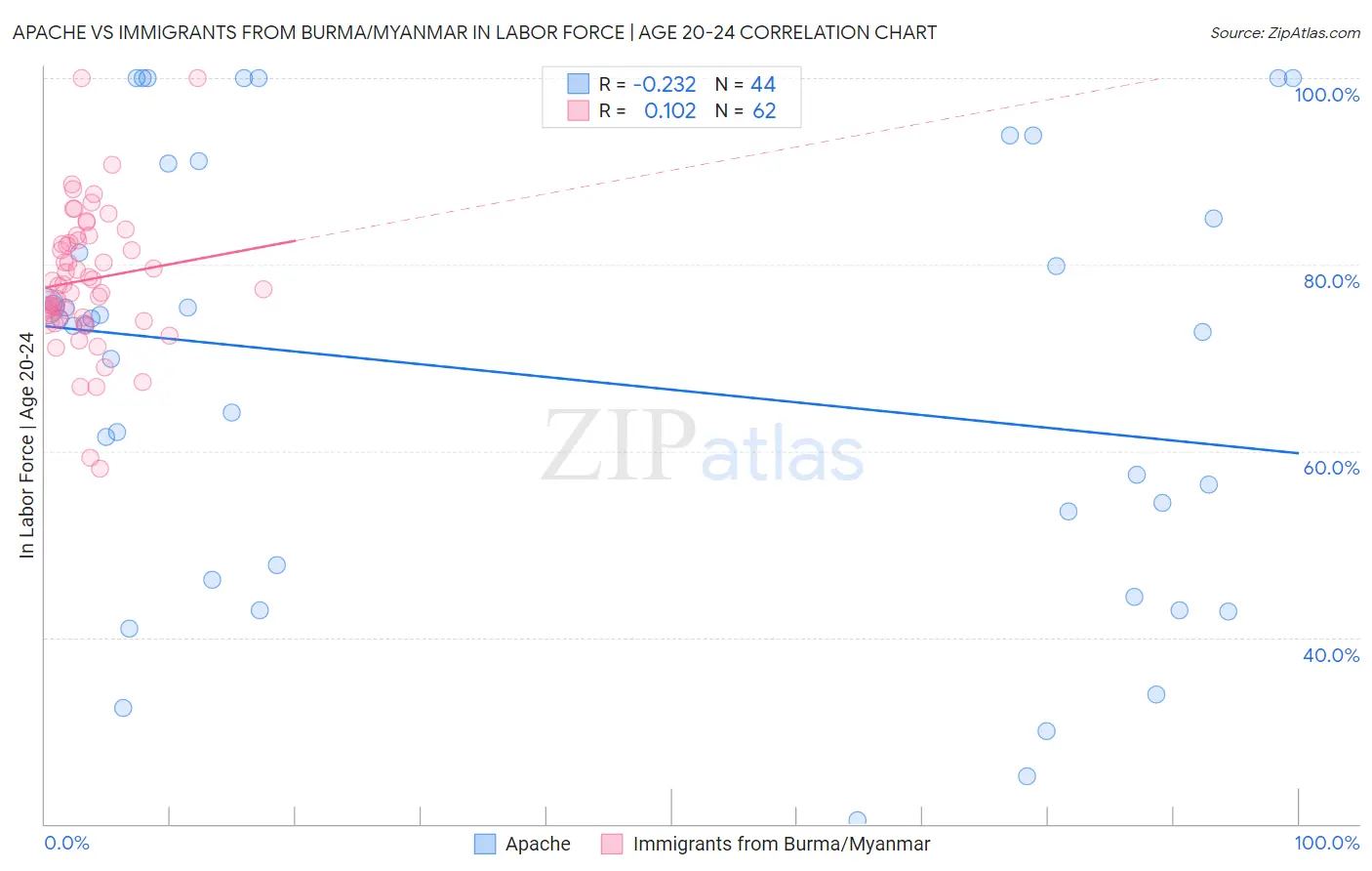 Apache vs Immigrants from Burma/Myanmar In Labor Force | Age 20-24