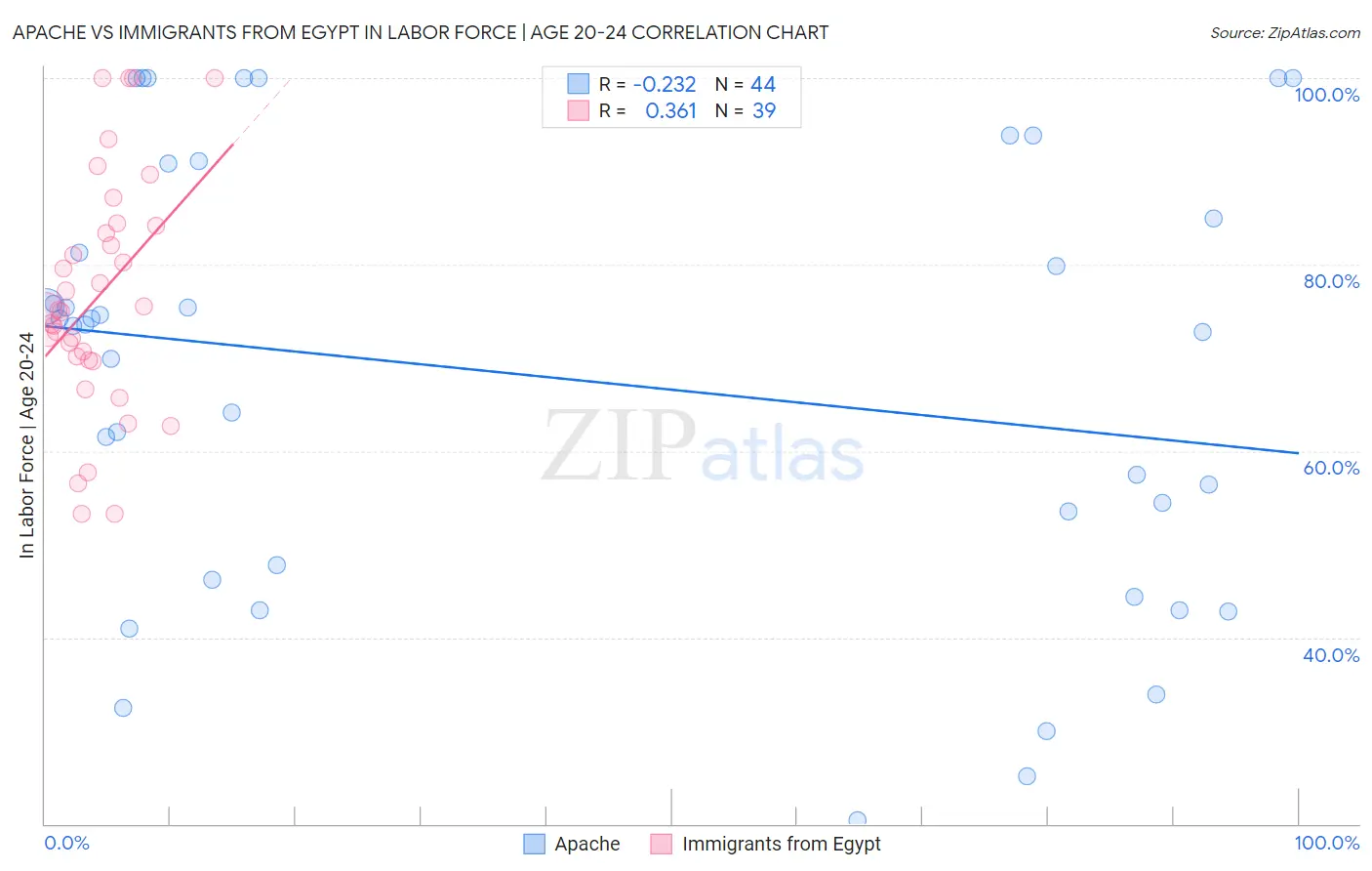 Apache vs Immigrants from Egypt In Labor Force | Age 20-24