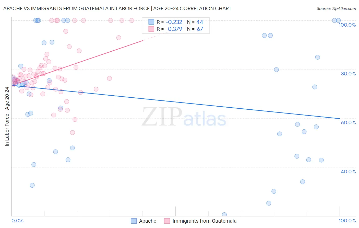 Apache vs Immigrants from Guatemala In Labor Force | Age 20-24