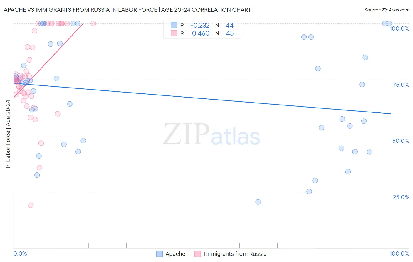 Apache vs Immigrants from Russia In Labor Force | Age 20-24