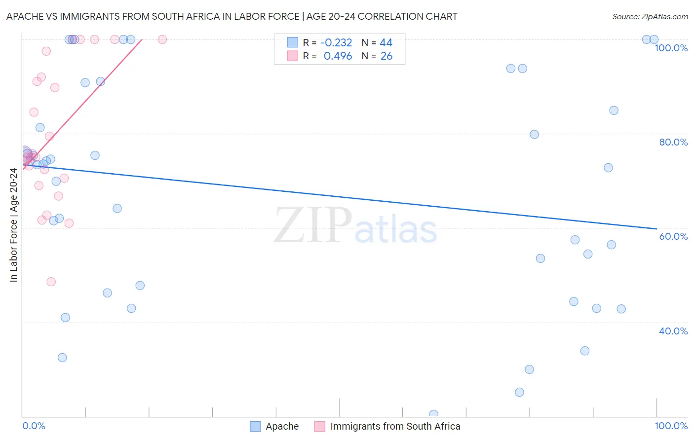 Apache vs Immigrants from South Africa In Labor Force | Age 20-24