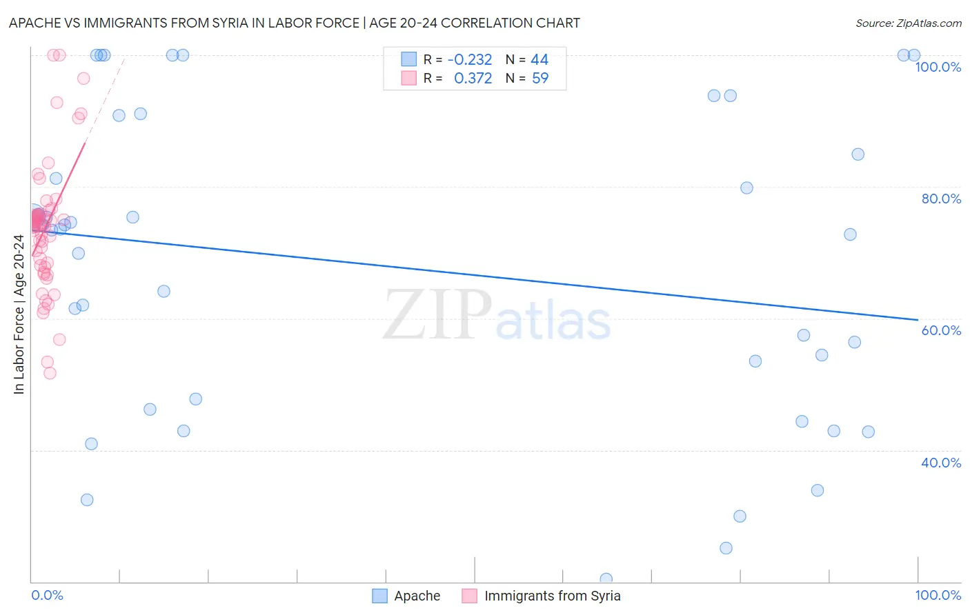 Apache vs Immigrants from Syria In Labor Force | Age 20-24